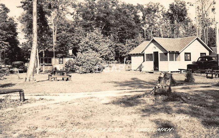 Curtis - Vintage Postcard (newer photo)